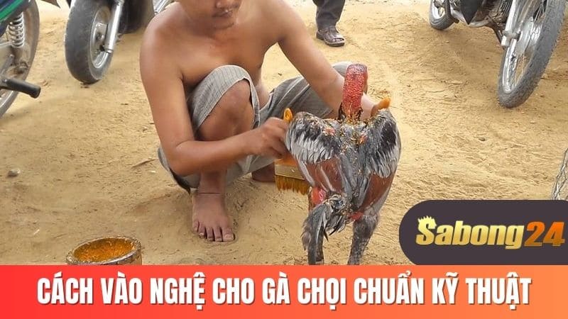 Cách vào nghệ cho chọi chuẩn kỹ thuật