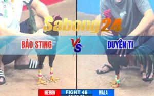 Trận 40 giữa CPC3 24/06/2024 giữa Bảo Sting vs Duyên Ti