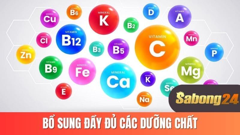 Bổ sung đầy đủ các dưỡng chất