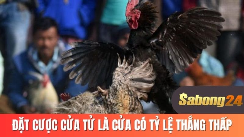 Đặt cược cửa tử là cửa có tỷ lệ thắng thấp