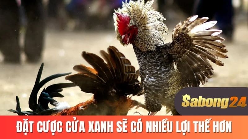Đặt cược cửa sanh sẽ có nhiều lợi thế hơn