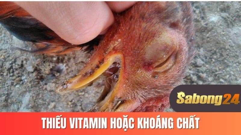 Thiếu Vitamin hoặc khoáng chất