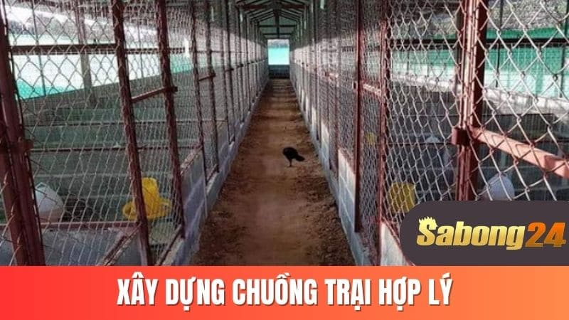 Xây dựng chuồng trại hợp lý
