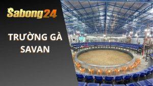 Trường Gà SAVAN