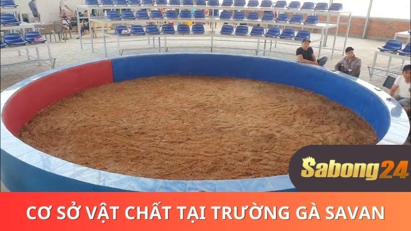 Cơ sở vật chất hiện có tại trường gà SAVAN