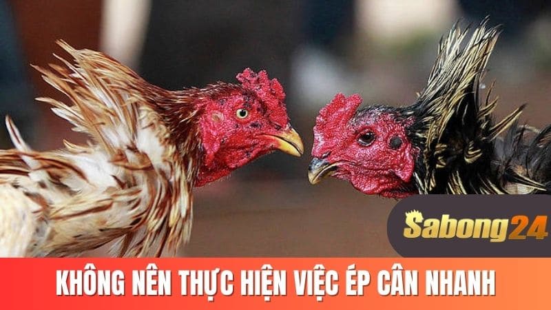 Không nên thực hiện việc ép cân nhanh Không nên thực hiện việc ép cân nhanh