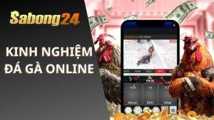 Kinh Nghiệm Đá Gà Online Hay