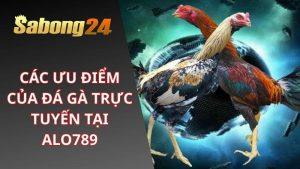 Các Ưu Điểm Của Đá Gà Trực Tuyến Tại ALO789