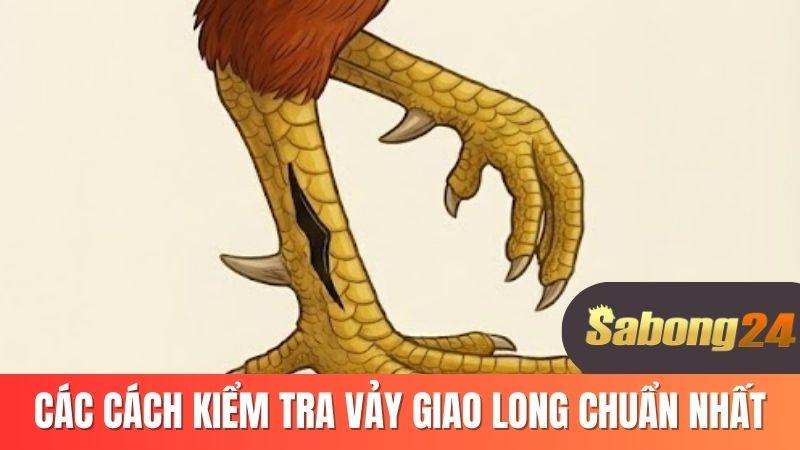 Cách xem vảy giao long chuẩn nhất