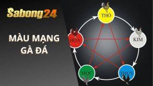 Màu Mạng Gà Đá