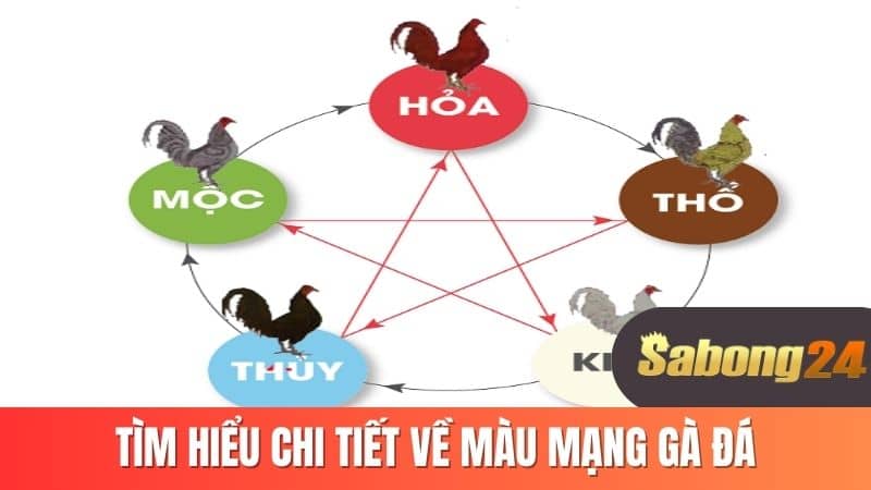 Tìm hiểu chi tiết về màu mạng gà đá
